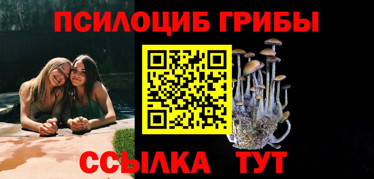 Рассказово  Галлюциногенные грибы GOLDEN TEACHER  Вход с VPN 
